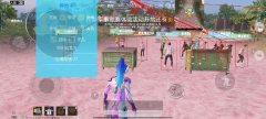 和平精英主播要开辅助瞄准吗（和平精英主播都开辅助瞄准了吗）