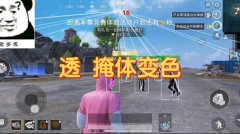 和平精英qq群辅助是真的吗 (和平精英QQ群辅助是真的吗？)