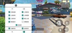 和平精英中的辅助瞄准是什么意思啊怎么设置的 (和平精英中的辅助瞄准是什么意思？怎么设置