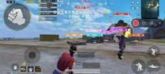 和平火焰鸟辅助怎么开（和平精英火焰鸟辅助怎么下载）