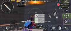 兔子辅助和平精英怎么玩（辅助瞄准怎么关和平精英）