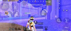 和平火焰鸟辅助怎么用 (和平火焰鸟辅助使用指南)