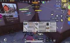 和平精英c辅助怎么联系（和平精英辅助怎么查询卡密）